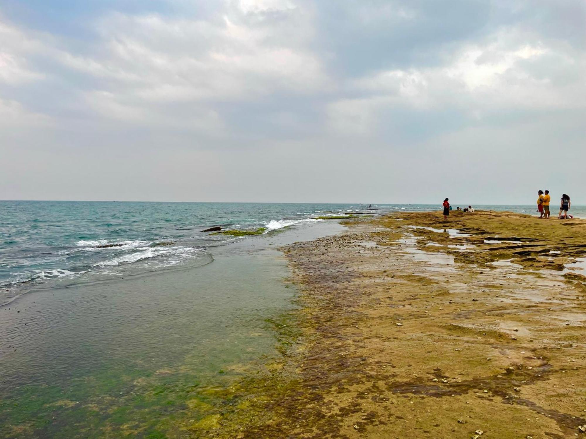 Negombo Morawala Beach Villa Zewnętrze zdjęcie